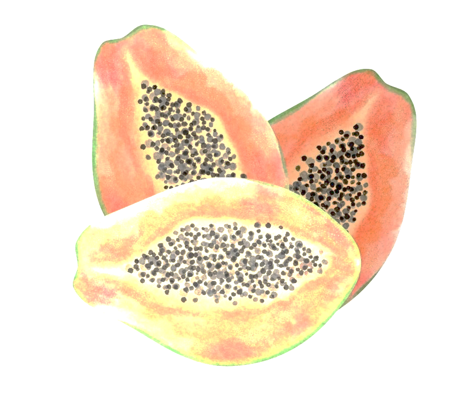 A picture containing fruit, melon

Description automatically generated